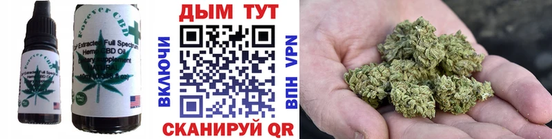 Купить закладки  Рыбное  Cannafood конопля 