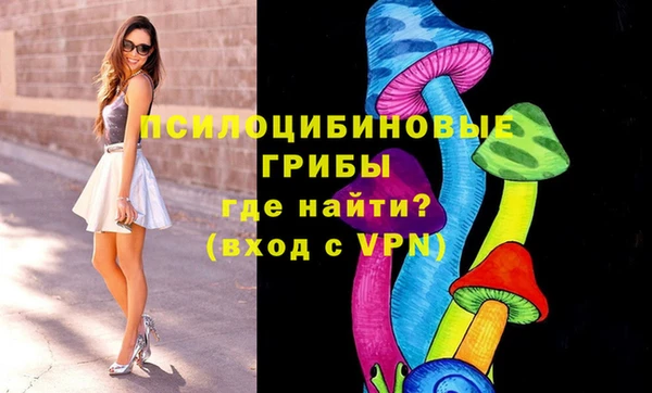 Альфа ПВП Балахна