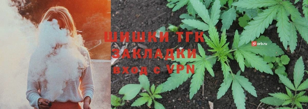 ГАЛЛЮЦИНОГЕННЫЕ ГРИБЫ Баксан