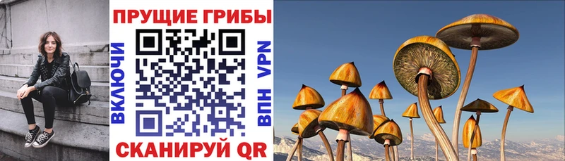Галлюциногенные грибы MAGIC MUSHROOMS  Купить  Рыбное 